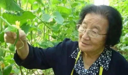 吃瓜爆料传送门不安装,不安装也能轻松获取热门资讯