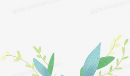 叶子动漫,描绘青春梦想的彩色画卷