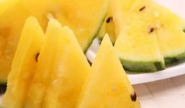 爆料中国吃瓜视频大全集,趣味横生的社会百态展现