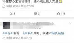 吃瓜爆料恋情是真的吗,恋情真相大揭秘